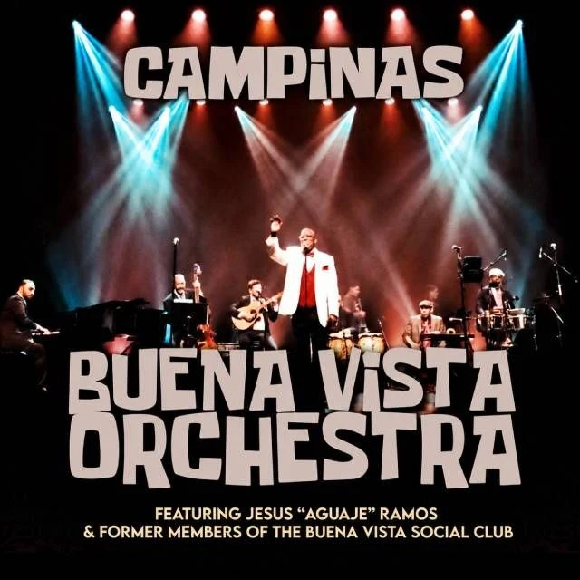 Arte oficial — Buena Vista Social Orchestra