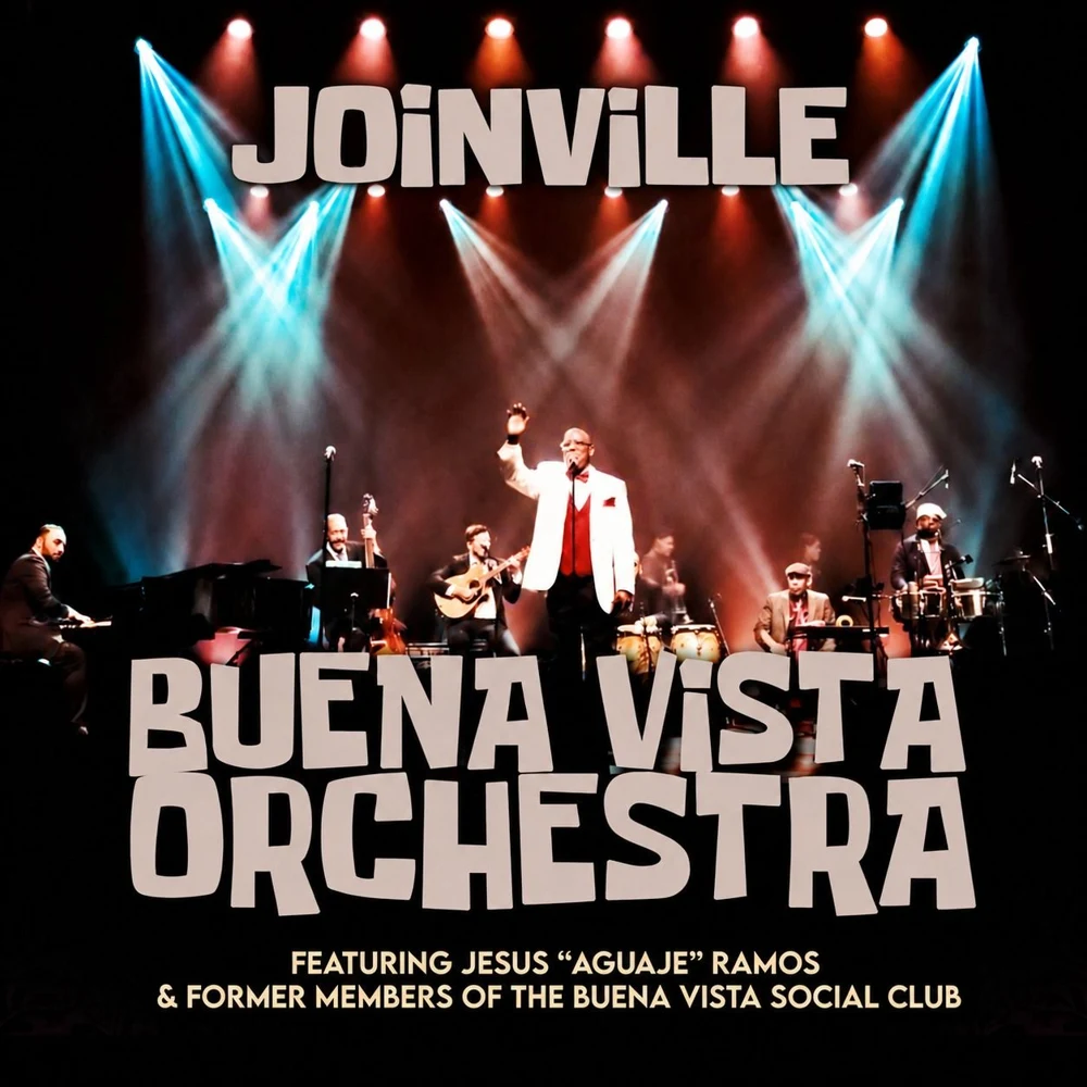 Arte oficial — Buena Vista Social Orchestra