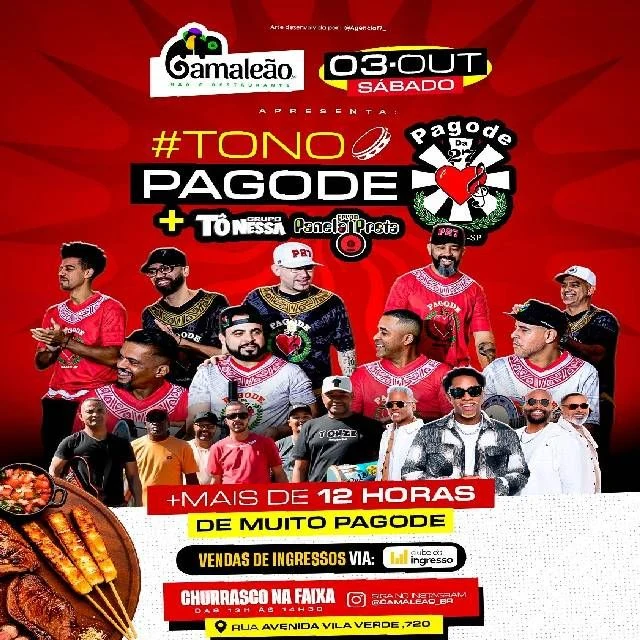 Arte oficial — Pagode da 27 no Camaleão