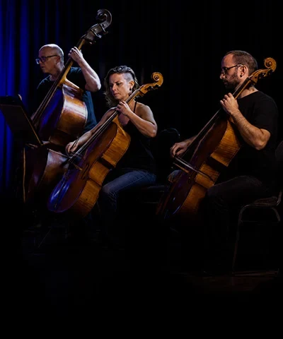 Arte oficial — BRASIL JAZZ SINFÔNICA APRESENTA CORDAS NO ROCK