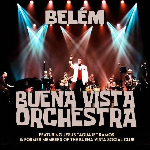 Arte oficial — Buena Vista Social Orchestra